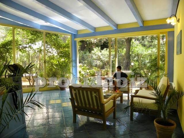 A bright sunroom with blue and yellow striped ceiling beams, large windows overlooking lush gardens, furnished with comfortable seating and potted plants.