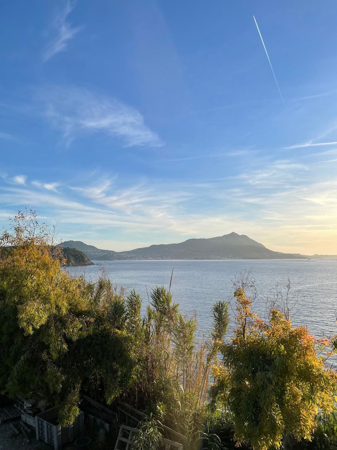 Scenic coastal view of mountains across calm blue water with autumn vegetation in the foreground under a clear sky.
